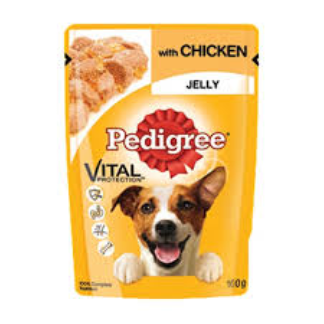 PADIGREE POUCH CHICKEN IN JELLY 100G